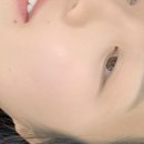 이프라인