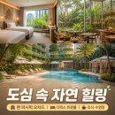 웰카오디오닷컴 | 싱가포르 여행 숙소 팬 퍼시픽 오차드 호텔 디럭스 트윈룸 조식 수영장