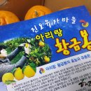 진도아리랑유자 네이버블로그