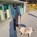 메디팜조약국 이미지