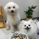 재아농장 이미지