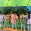 슈에뜨유치원 이미지