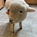 송포목장 이미지