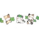 청학 승마클럽 이미지