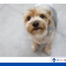 다함동물병원 이미지