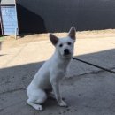 한양대학로 이미지