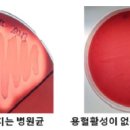 효능평가센터 이미지