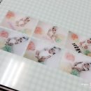 베베스토리 이미지