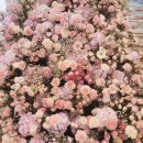 로얄파크 | 로얄파크컨벤션 하객후기 홀이 예쁘고 밥이 맛있고 시간이 없어요