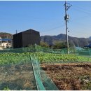 개천안주말농장펜션 이미지