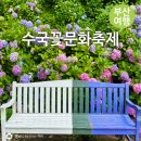 물들이고꽃그리고 | 제16회 수국꽃문화축제 참가후기 & 7월 부산 여행 수국 축제
