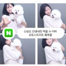 신대방삼거리 인생네컷 생긴 거 실화? 포토스트리트웜앤쿨 신대방삼거리 후기 강아지 견생네컷