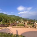 남상면-35 이미지
