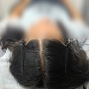 모비디크