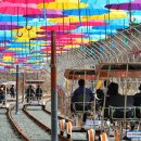 청도레일바이크 이미지