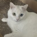 평촌영풍(아)경로당 | ✉️ 2408-3 〃 더 깊이 사랑한 마음을 찾아와 울려