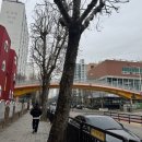 건영무궁화유치원 이미지