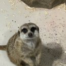 테이블에이 이미지