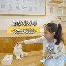 캣플헤븐 천안불당점 | [천안] 불당동 고양이 카페 &lt;캣플헤븐&gt;