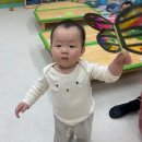 🌞 알록달록 나비썬캐쳐를 만들어요 🦋 🌞 이미지