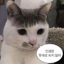 금융감독원 | 금융감독원 무료 재무상담 예약 실패 후기