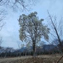 힐링산책코스 | 창원 사파동 황톳길 맨발걷기 코스 오픈! 힐링 산책 후기
