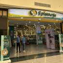 클로베이 | 이집트 후루가다 11일차 픽알바트로스 시타델에서 선라이즈 크리스탈 베이 리조트로 갈아타기