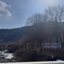 숲에서놀자 | 35번째 캠핑 : 초대형 독립 사이트로 세상 프라이빗한 숲 속 힐링 캠핑장