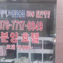 알라딘펫 이미지