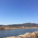 푼다리카 이미지