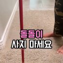 털뭉치 | [경악] 10년 동안 돌돌이에 쏟아부은 돈이 아까워 눈물 난 후기... 카페트에서 '털 뭉치'가 이만큼?