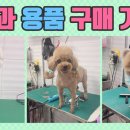 몽타운 이미지