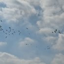 이인자 농장 이미지