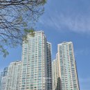 트럼프월드센텀I | 해운대 센텀시티 트럼프월드센텀1 인테리어 후 필수 코스? 새집증후군 습식베이크아웃으로 해결한 후기