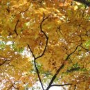 솔고개민박 이미지