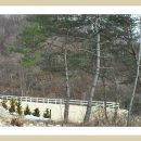 화이트 밸리 이미지