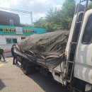 오산주유소 | 수원 LPG주유소 고목 살구나무 전지 작업