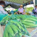 단구1리 이미지