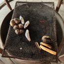새광주충전소 | 겨울 데이트 추천 경기도 광주 숯가마 찜질방 새광주참숯가마