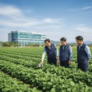 파주시농업기술센터 | 2026년 파주시 농업기술센터 전략작물 직불금 신청 자격과 순서