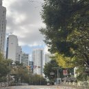 5323 | 대전운전연수 빈틈없던 수업 과정