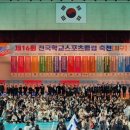 세심태권도 네이버블로그
