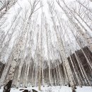 산들마을경로당 이미지
