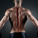 빽짐헬스 이미지