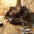 동지농장 이미지