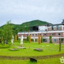 떠도는섬들 이미지