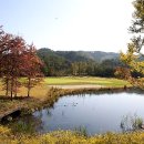 파인밸리 컨트리클럽 이미지