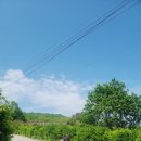 대대 찹쌀아구찜 이미지