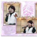 팽고 팽고 이미지