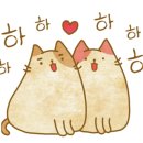 싸다공 이미지
